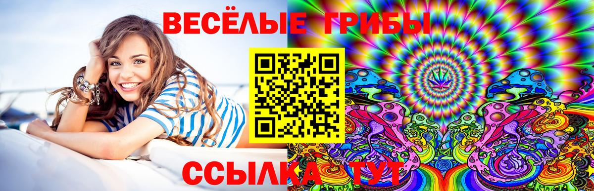 Санкт-Петербург  Псилоцибиновые грибы мухоморы  Вход с VPN  Псилоцибиновые грибы прущие грибы 