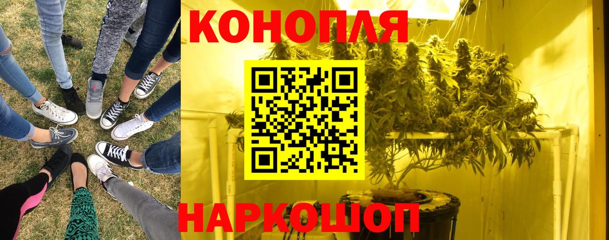 МАРИХУАНА план  МАРИХУАНА LSD WEED  Санкт-Петербург  Канабис планчик  Вход с VPN 